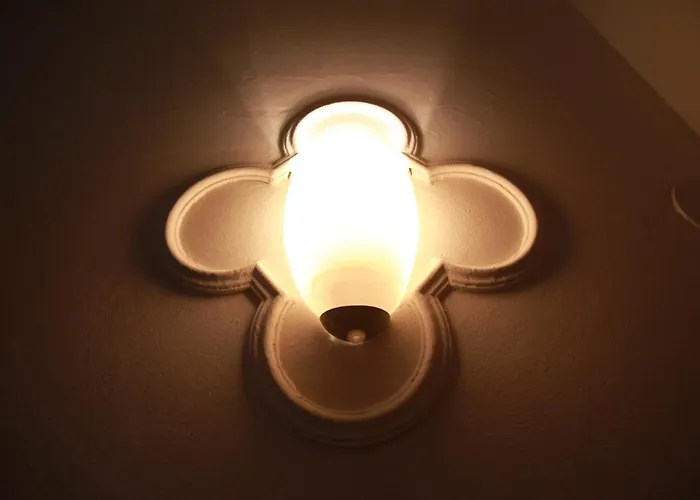 Gildo * 로솔리나 마레